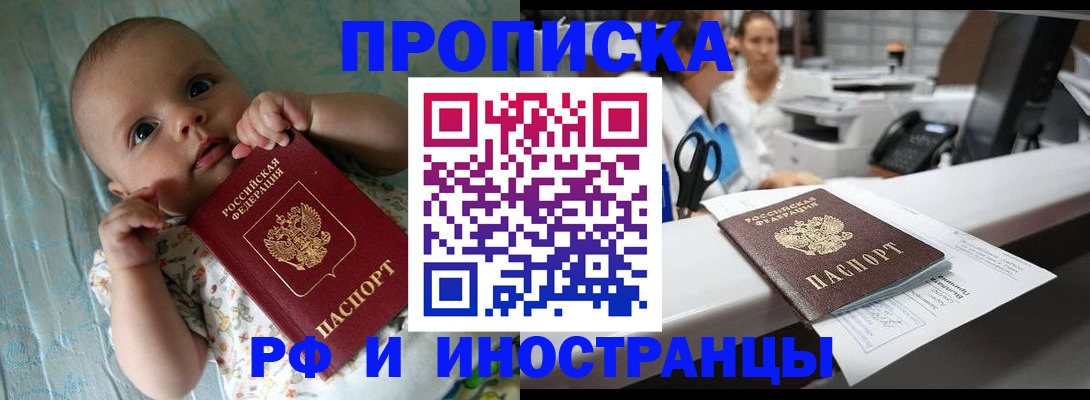 прописка поиск в Нововоронеже